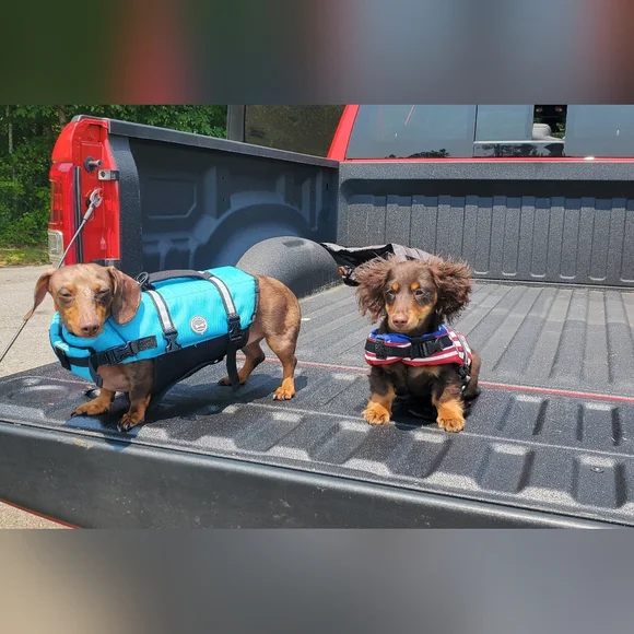 Random Pics - Picture 6 of 6